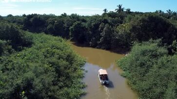 Com diferentes passeios, delta fluvial pode ser apresentada a todos os públicos