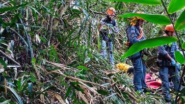 Vítima bateu em árvores e caiu de uma altura de 40 metros