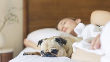 Para alguns, dormir com os animais no mesmo local pode ser uma atitude de falta de higiene