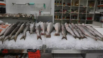 Aproveitando o período de safra, quando a oferta de pescado aumenta nas bancas, permissionários do Mercado de Peixes conseguiram negociar preços mais baixos com os fornecedores
