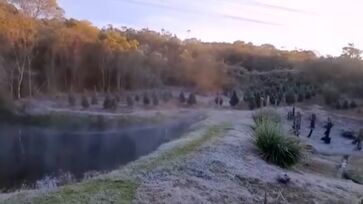 Imagem registra pasto congelado em dia com -2 graus em Marsilac