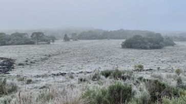 Cidade de Urubici amanhaceu com neve nesta terça-feira (1&ordm;/7)