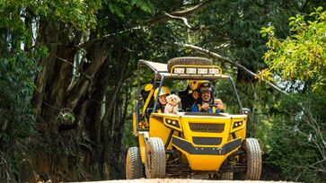 Para quem curte adrenalina, muitas agências de turismo de aventura da cidade se adaptaram para oferecerem algumas atividades para os animais