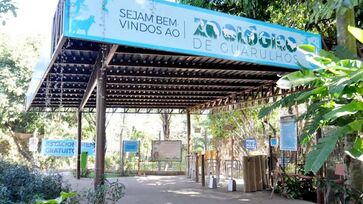 Evento gratuito aborda importância das cobras no ecossistema