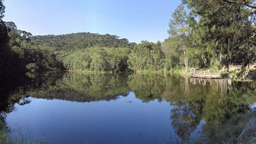Natureza, trilhas e sossego no coração da Serra da Cantareira
