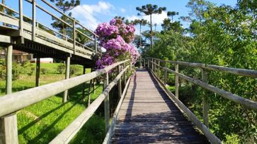 A Trilha das Bromélias é somente uma das diversas do parque