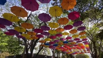 Destino mistura cultura holandesa, campos floridos e festas tradicionais que encantam turistas