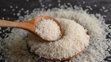 Reconhecida oficialmente como capital do arroz, cidade nunca teve lavoura do cereal