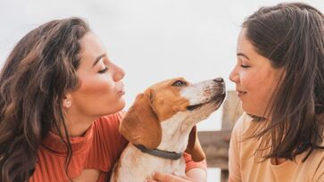 Entenda o porquê você deve falar com uma voz mais aguda com o seu cachorro