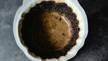 O novo caminho que os cientistas encontraram para o café descartado 