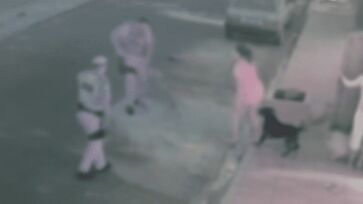 Três cachorros avançaram no policial que atira e mata um dos animais