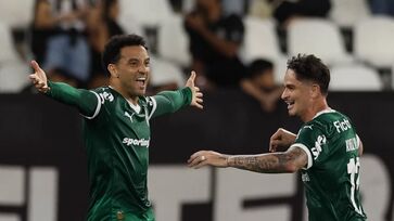 Palmeiras e Sport se enfrentam, nesta segunda-feira, no Brasileirão Série A