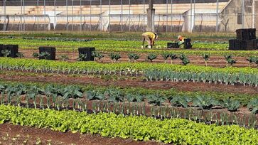 Cerca de 40 reeducandos já participaram do projeto de forma rotativa