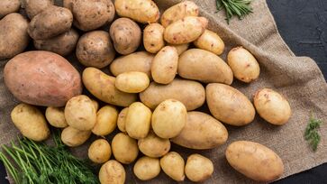 O melhor lugar para armazenar batatas é o lugar que geralmente as pessoas ignoram