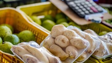 Preços de alguns alimentos e hortaliças caíram em julho nas principais Centrais de Abastecimento (Ceasas) do Brasil