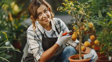Você pode cultivar essas plantas no seu quintal 