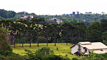 Vinhedo é conhecido como a "Capital da Uva" e é considerado como uma das melhores cidades para se viver