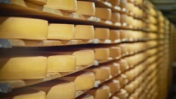 Iniciativa conecta queijarias, cooperativas e laticínios a experiências gastronômicas