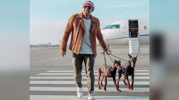 Chegada do cão indicaria desejo de Memphis permanecer no Corinthians