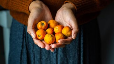 Rica em antioxidantes, a nêspera protege o fígado, combate inflamações e ainda auxilia no controle do diabetes
