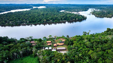 Elevar a Amazônia à sua verdadeira importância significa exigir que o mundo reconheça e pague por todo esse conjunto