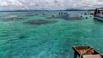 Maragogi é referência em turismo sustentável. A Área de Proteção Ambiental Costa dos Corais adota medidas para preservar a biodiversidade, que inclui mais de 200 espécies de peixes tropicais.