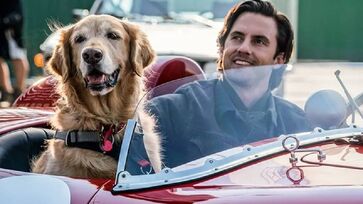 Adaptação cinematográfica foi lançada em 2019 e, atualmente, está disponível no serviço de streaming da Netflix