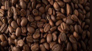 O café do jacu virou uma iguaria