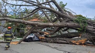 Queda aconteceu por volta das 12h45, na avenida Antônio Barbosa da Silva Sandoval, no bairro do Socorro