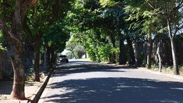 Birigui é o município mais arborizado do Brasil, segundo o IBGE