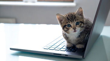 O teclado funciona como um tapete térmico aconchegante, perfeito para um cochilo