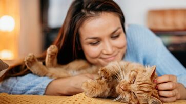 O crescimento da população felina no Brasil reflete uma mudança de comportamento dos tutores, que passaram a reconhecer o gato como um companheiro carinhoso e adaptável.