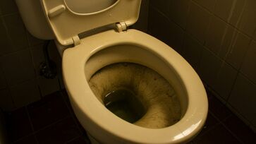 Aprenda a limpar o vaso sanitário de uma vez por todas 