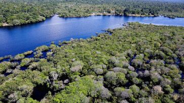 Rio Amazonas é um dos mais importantes do mundo