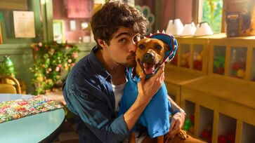 Longa, que estreou na plataforma de streaming nesta quarta-feira (8/10), tem Rafa Vitti contracenando com o simpático cachorro caramelo Amendoim