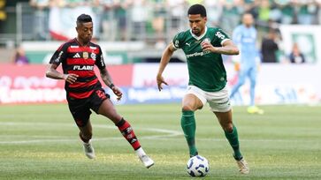 Flamengo e Palmeiras se enfrentam, neste domingo, no Brasileirão Série A