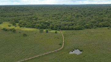 Local é uma das quatro maiores áreas - com mais de 10.000 ha - desse tipo de vegetação no Estado