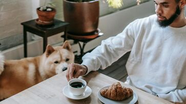 Cães podem ter fome constante por uma série de fatores