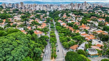 Capital paulista se sobressaiu na preservação e manejo sustentável das florestas urbanas