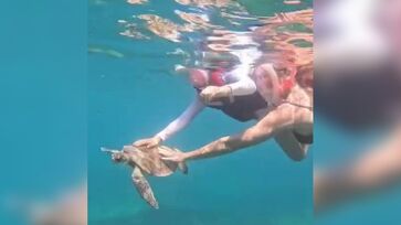 Vídeo do momento foi publicado pela turista nas redes sociais no dia 26 de setembro