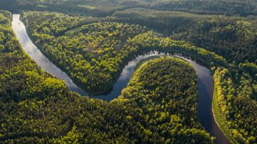 Brasil defende que a preservação das florestas não seja responsabilidade local 