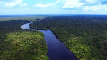 Base dados ficou com o Projeto de Desmatamento e Monitoramento do Desflorestamento na Amazônia Legal (Prodes), do Inpe