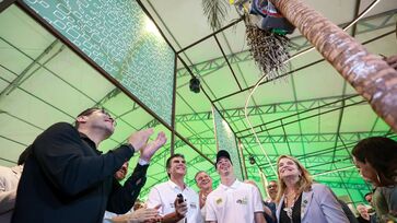 Helder Barbalho testa robô usado para facilitar a colheita de açaí