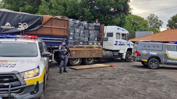 Motorista do caminhão passava pelo km 431 da rodovia Raposo Tavares quando foi abordado