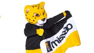 Bandeira colocada à venda pelo Partido Missão