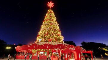 Árvore será inaugurada no próximo sábado (15/11), às 19 horas, no parque Villa-Lobos