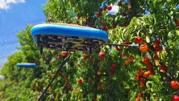 Tecnologia ainda está em fase de testes, mas especialistas apontam que deve se consolidar na próxima década