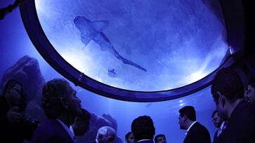 AquaFoz possui o segundo maior tanque oceânico do Brasil, com 2 milhões de litros de água