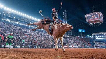 Taubaté Expo Rodeo reunirá shows de estrelas como Gusttavo Lima e Ana Castela