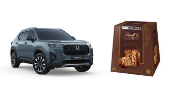 Plaza Sul Shopping terá uma estufa interativa, trenzinho temático, fonte dos desejos, espaços instagramáveis e o trono do Papai Noel